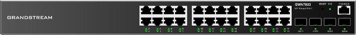 24 Port POE Switch